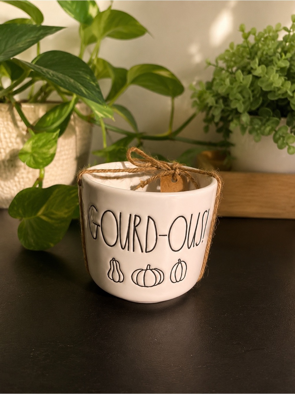 Rae Dunn White Ceramic 'GOURD-OUS' Planter with Twine